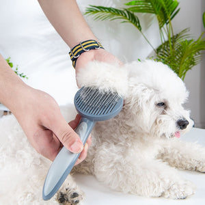 Peigne de toilettage pour chat & chien - Payty