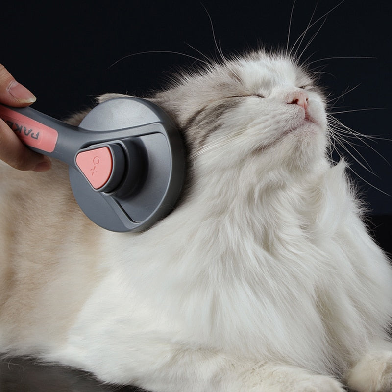 Peigne de toilettage pour chat & chien - Payty